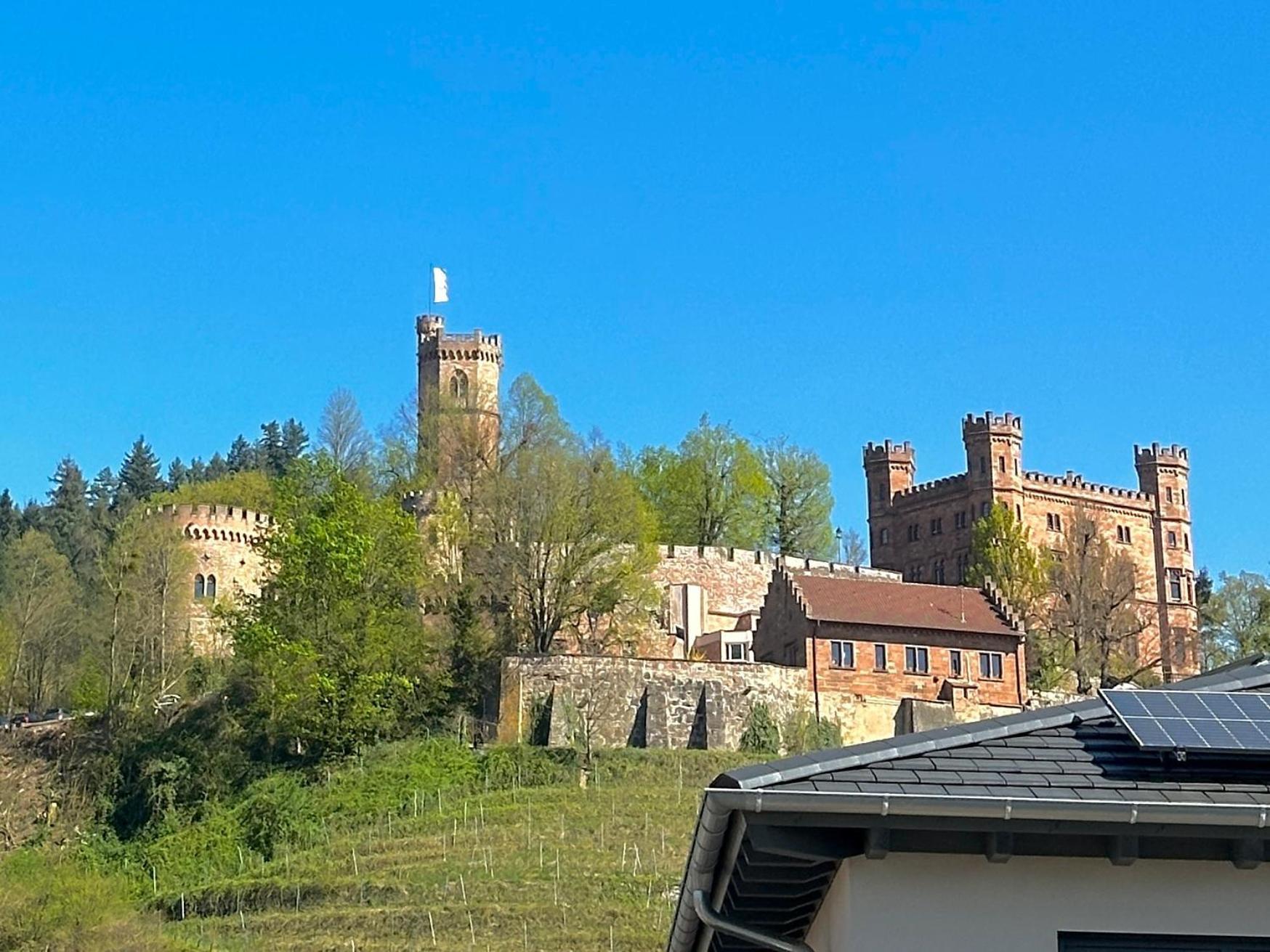 Ferienwohnung Mit Schlossblick Bei Offenburg Ortenberg  Exteriör bild